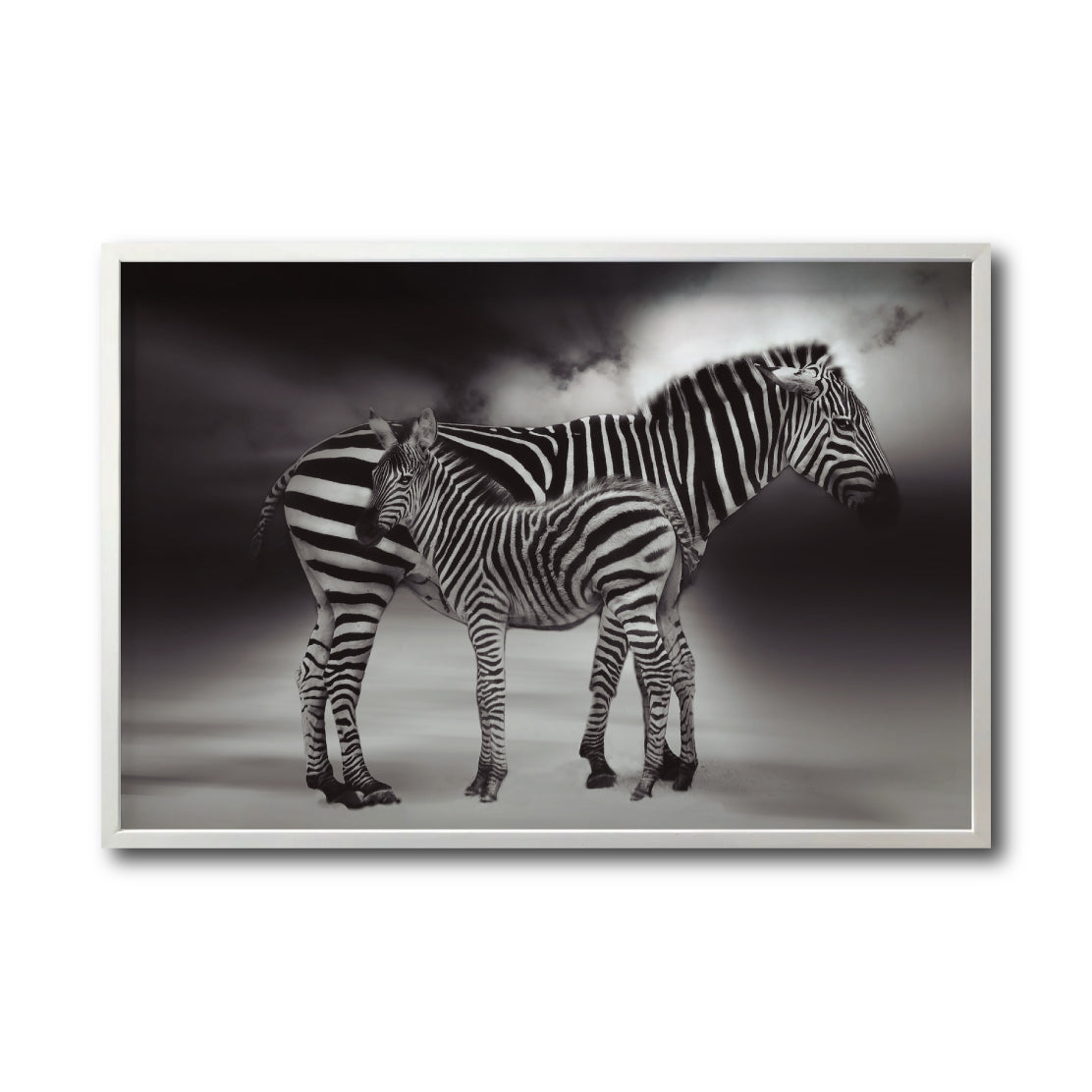 Cuadro Decorativo Fauna 020 - Cebras Blanco y Negro