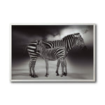 Cargar imagen en el visor de la galería, Cuadro Decorativo Fauna 020 - Cebras Blanco y Negro
