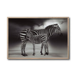 Cargar imagen en el visor de la galería, Cuadro Decorativo Fauna 020 - Cebras Blanco y Negro
