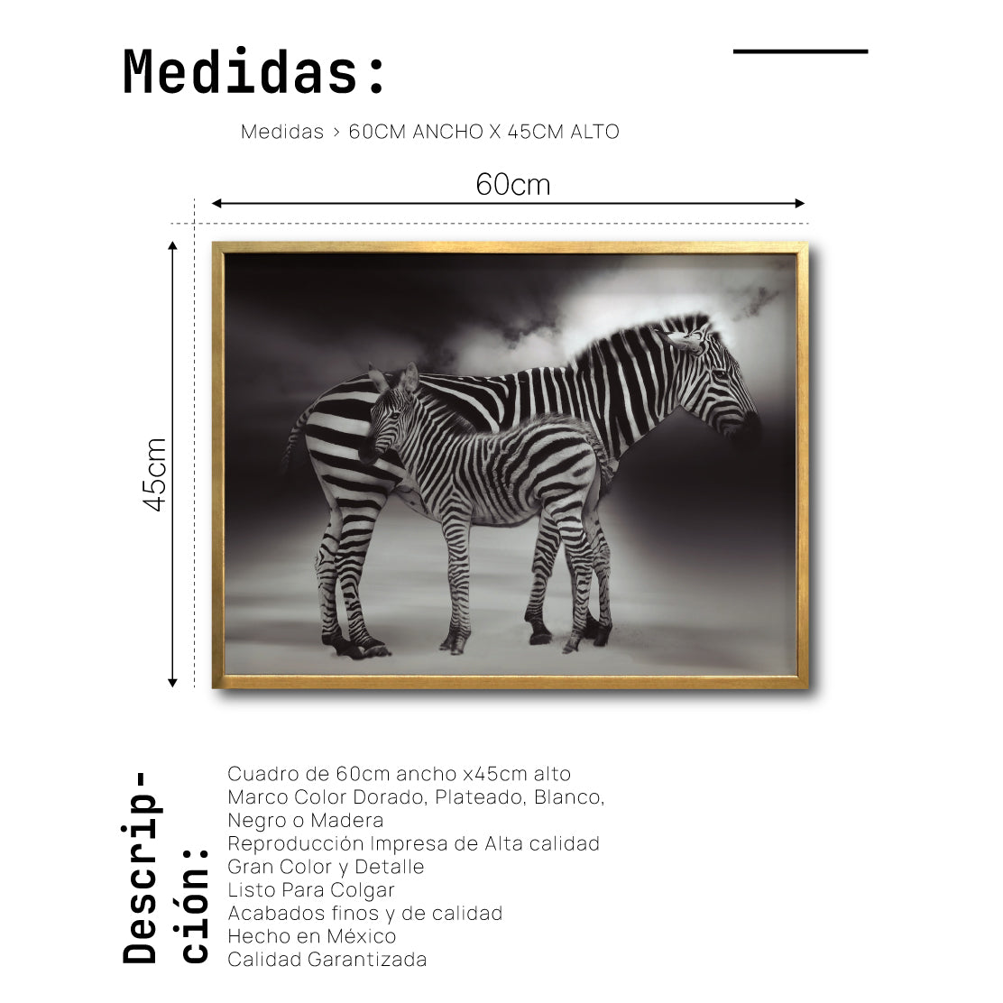 Cuadro Decorativo Fauna 020 - Cebras Blanco y Negro