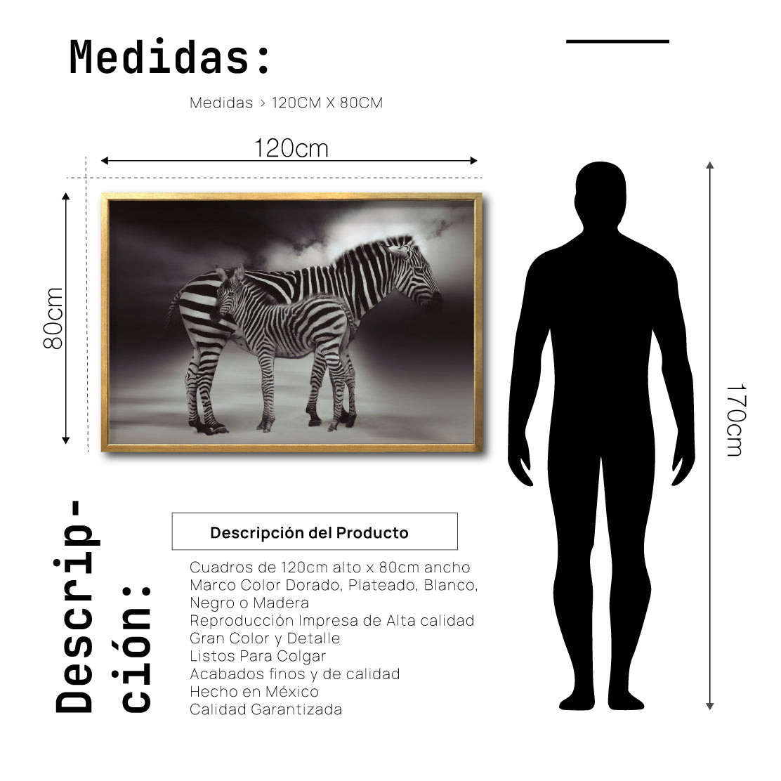 Cuadro Decorativo Fauna 020 - Cebras Blanco y Negro