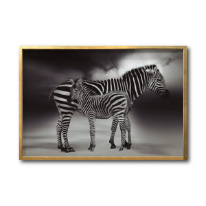 Cuadro Decorativo Fauna 020 - Cebras Blanco y Negro