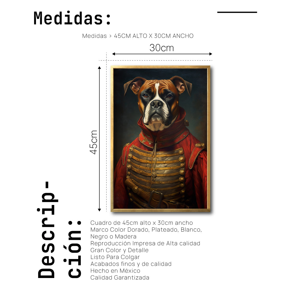 Cuadro Decorativo Perros Epoca 020 - Boxer Aristócrata