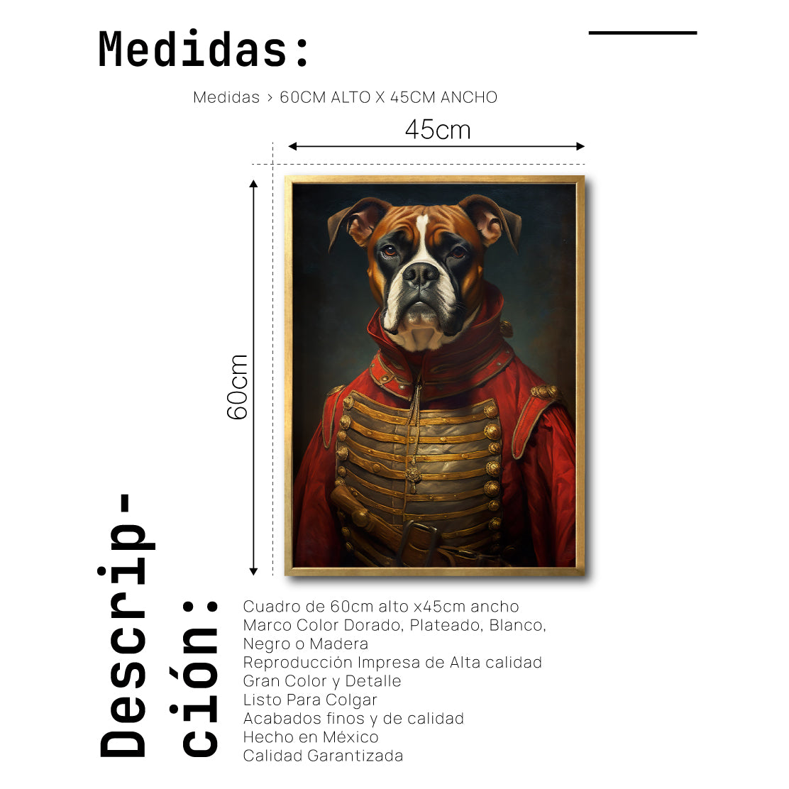 Cuadro Decorativo Perros Epoca 020 - Boxer Aristócrata