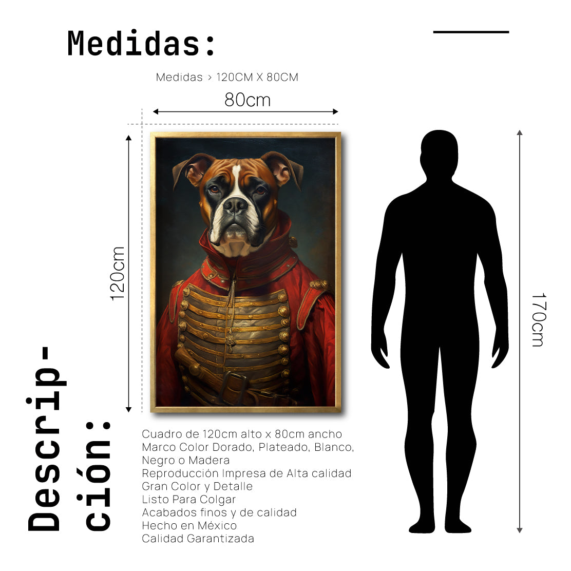 Cuadro Decorativo Perros Epoca 020 - Boxer Aristócrata