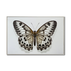 Cuadro Decorativo Alas 021