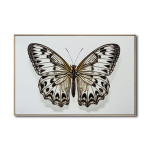 Cuadro Decorativo Alas 021