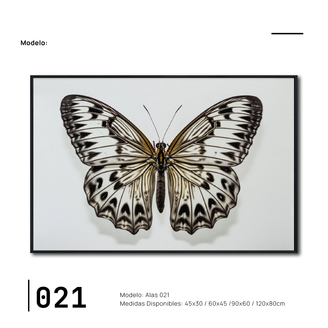 Cuadro Decorativo Alas 021