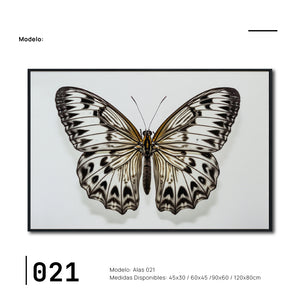 Cuadro Decorativo Alas 021