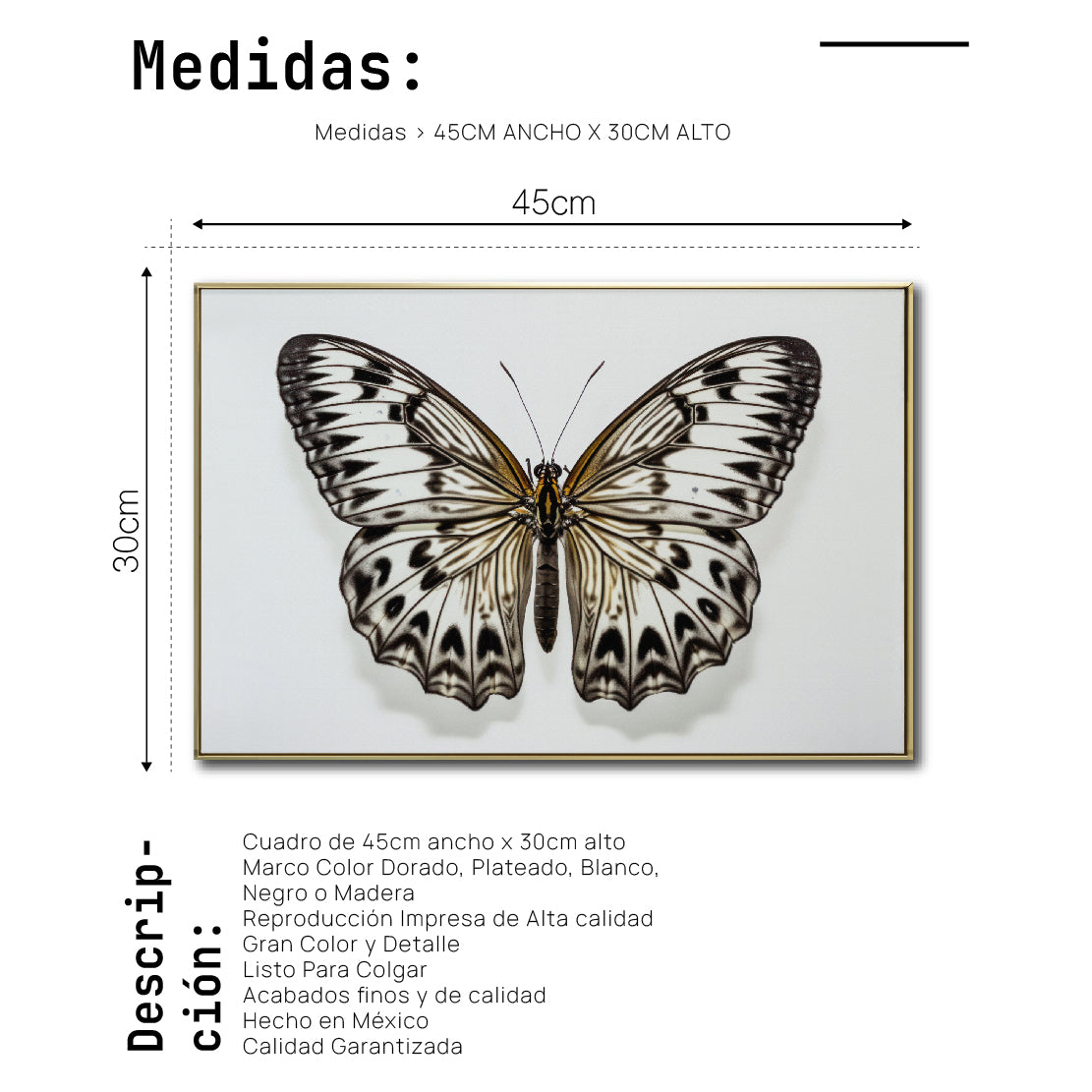 Cuadro Decorativo Alas 021