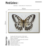 Cargar imagen en el visor de la galería, Cuadro Decorativo Alas 021
