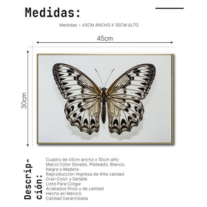 Cuadro Decorativo Alas 021
