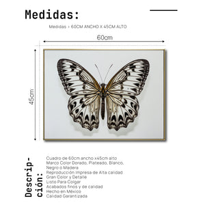 Cuadro Decorativo Alas 021
