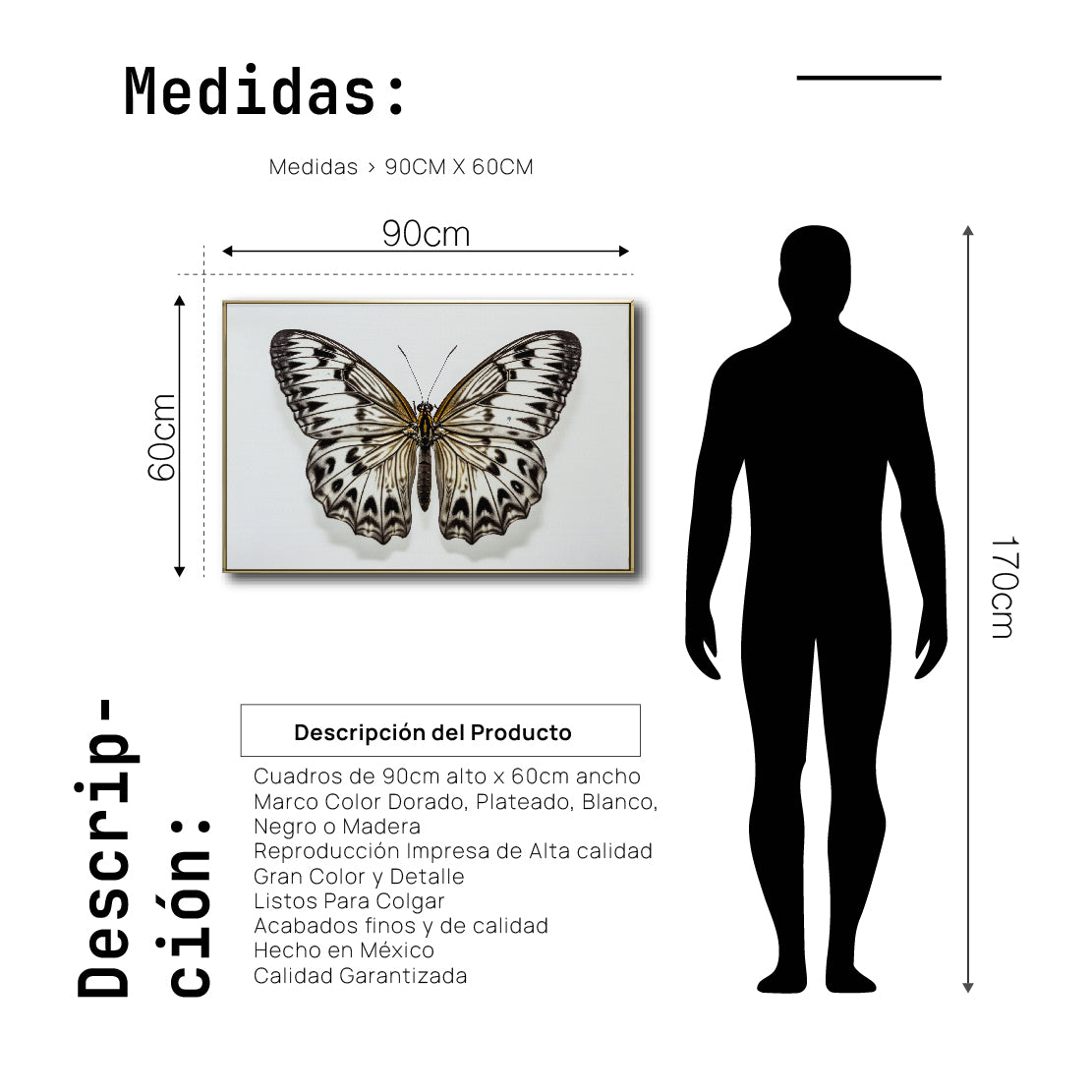 Cuadro Decorativo Alas 021