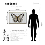 Cargar imagen en el visor de la galería, Cuadro Decorativo Alas 021
