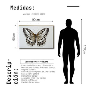 Cuadro Decorativo Alas 021