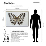 Cargar imagen en el visor de la galería, Cuadro Decorativo Alas 021
