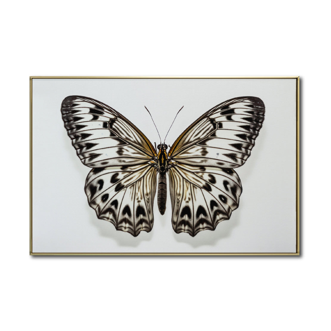 Cuadro Decorativo Alas 021