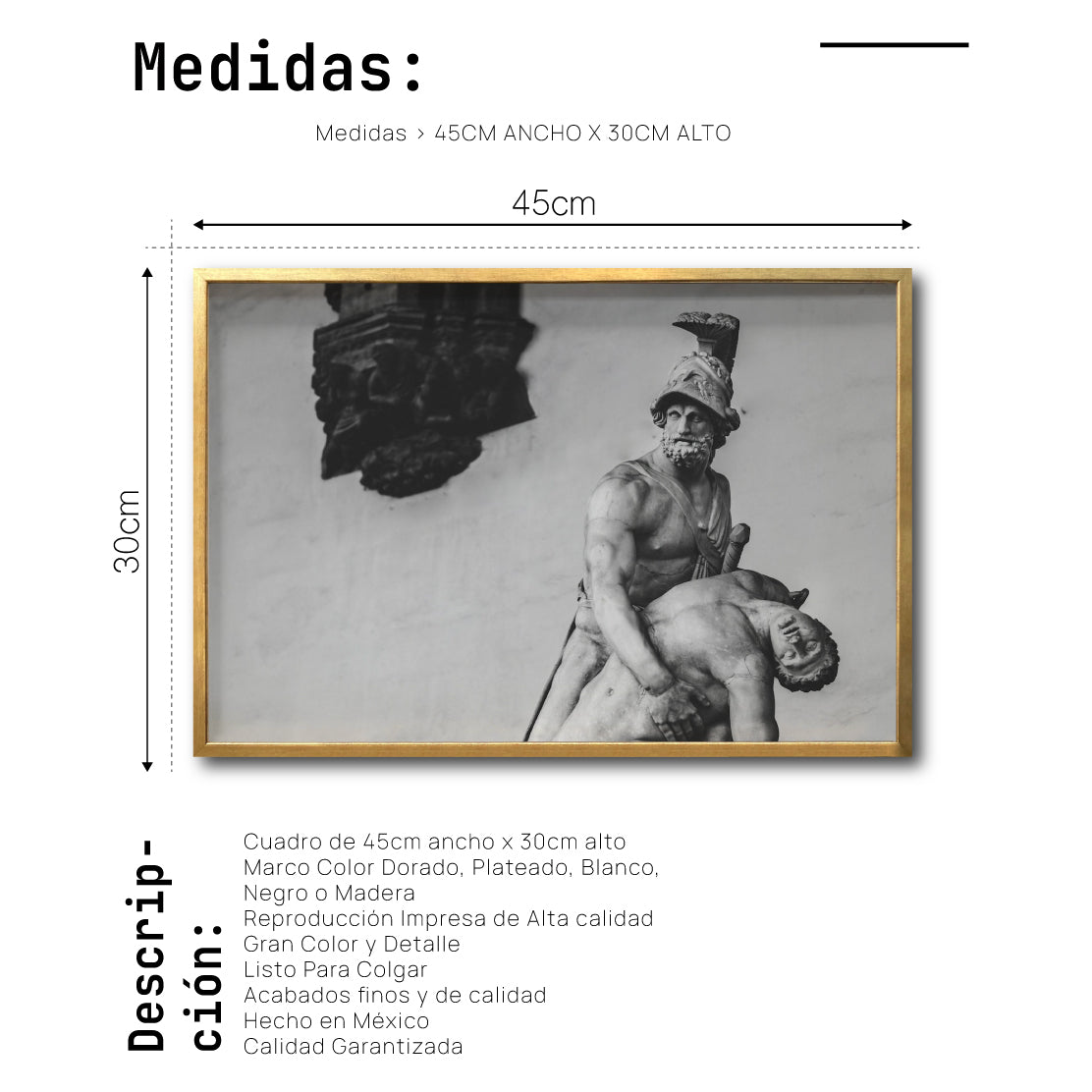 Cuadro Decorativo Esculturas 022 Menelao