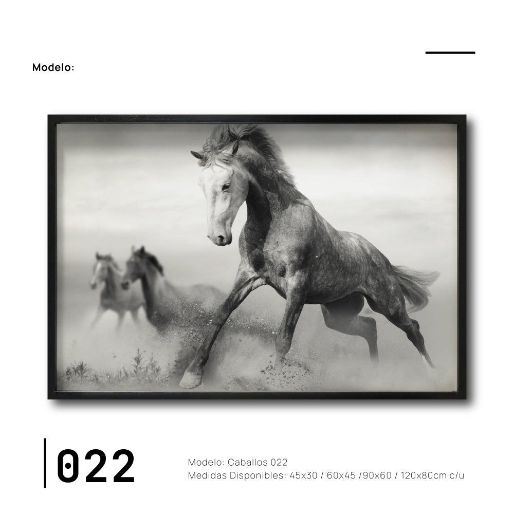 Cuadros elegantes de Caballos para comedor. Ciudad de México. Galería 314. Caballos corriendo. Colores blanco y negro.