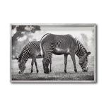 Cargar imagen en el visor de la galería, Cuadro Decorativo Fauna 022 - Cebras Blanco y Negro
