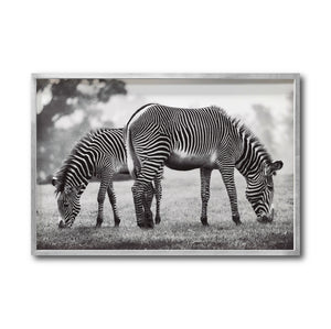 Cuadro Decorativo Fauna 022 - Cebras Blanco y Negro