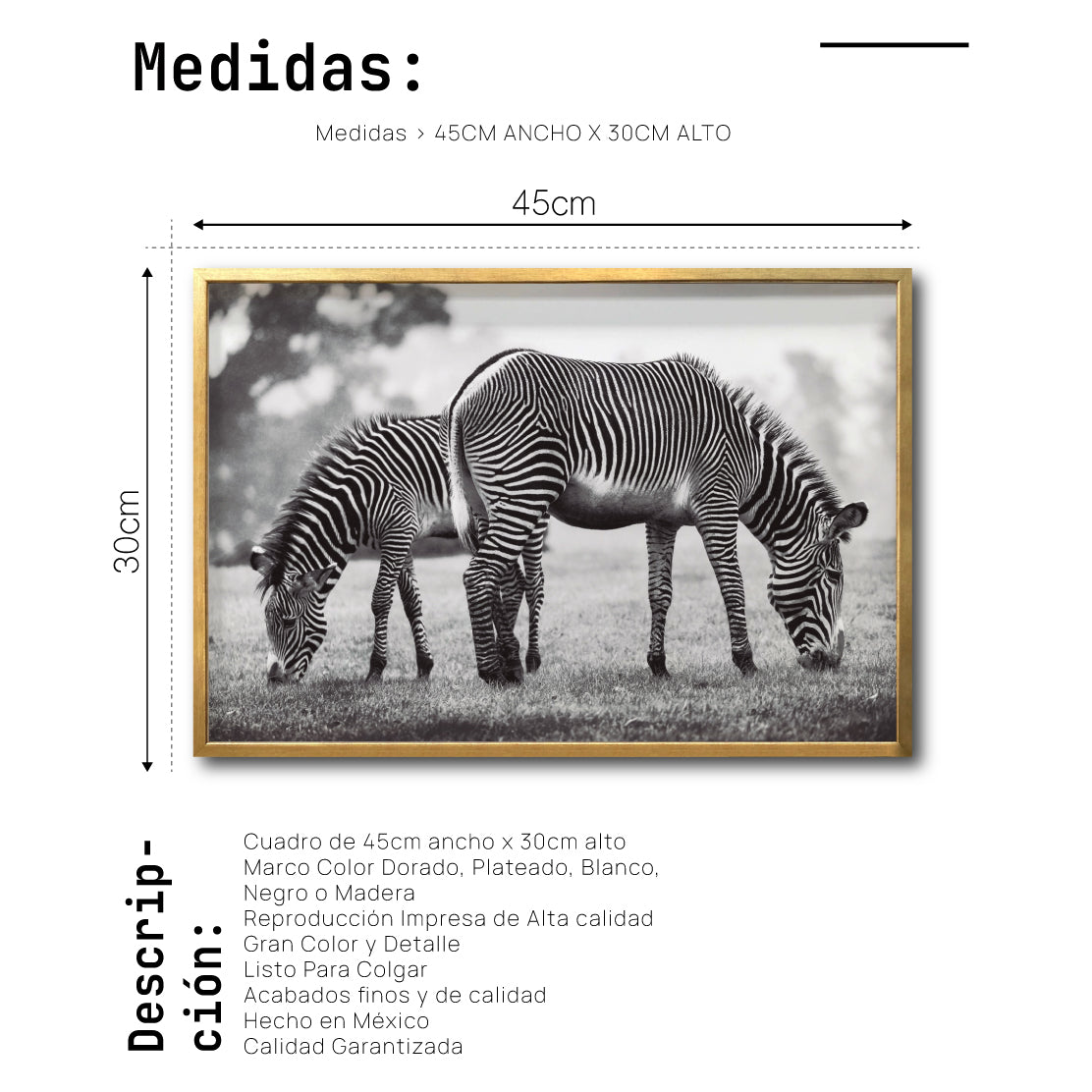 Cuadro Decorativo Fauna 022 - Cebras Blanco y Negro