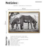 Cargar imagen en el visor de la galería, Cuadro Decorativo Fauna 022 - Cebras Blanco y Negro
