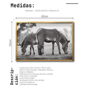 Cuadro Decorativo Fauna 022 - Cebras Blanco y Negro