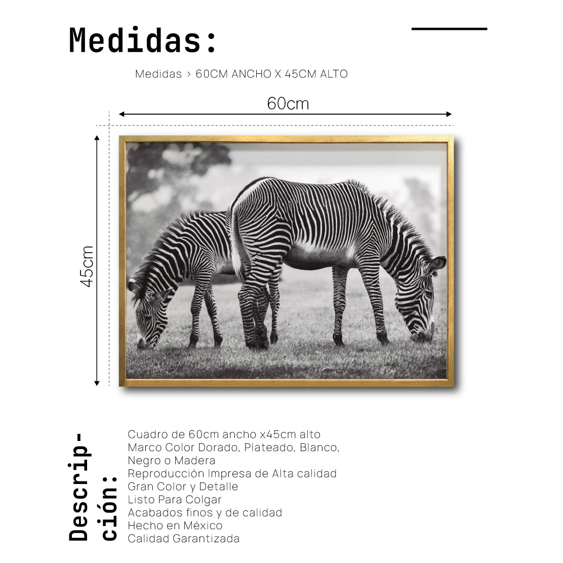 Cuadro Decorativo Fauna 022 - Cebras Blanco y Negro