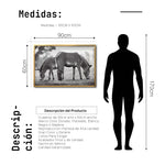 Cargar imagen en el visor de la galería, Cuadro Decorativo Fauna 022 - Cebras Blanco y Negro
