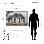 Cargar imagen en el visor de la galería, Cuadro Decorativo Fauna 022 - Cebras Blanco y Negro
