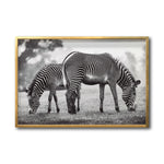 Cargar imagen en el visor de la galería, Cuadro Decorativo Fauna 022 - Cebras Blanco y Negro
