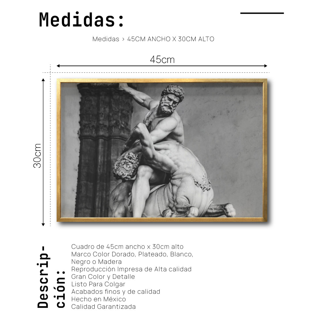 Cuadro Decorativo Esculturas 023 Hércules y el Centauro Neso