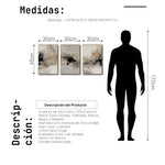 Cargar imagen en el visor de la galería, Set Cuadros Decorativos Abstracto Negro Arena 2-236- Tríptico Modernos y Elegante Estilo Boho en Tonos Neutros
