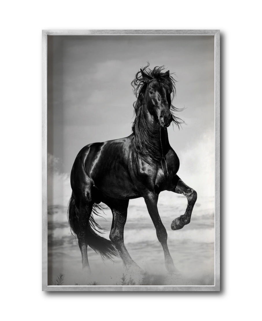 Cuadro Decorativo Caballos 023