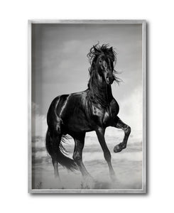 Cuadro Decorativo Caballos 023