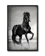 Cargar imagen en el visor de la galería, Cuadro Decorativo Caballos 023
