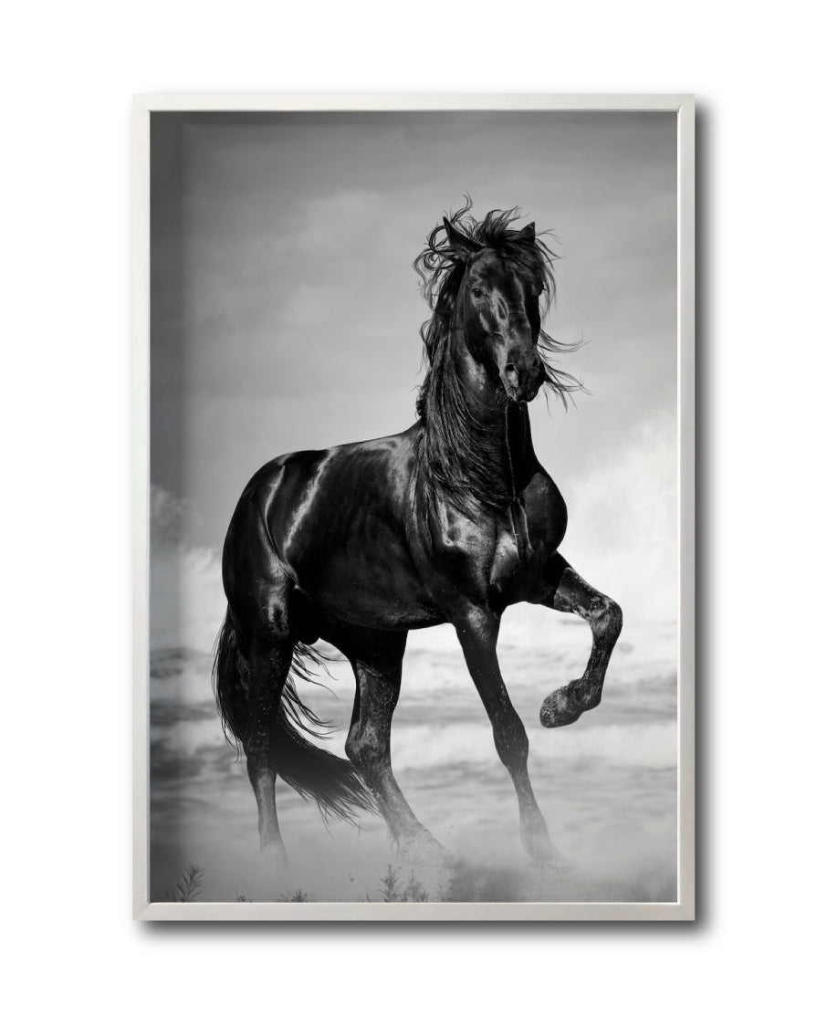 Cuadro Decorativo Caballos 023