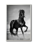 Cargar imagen en el visor de la galería, Cuadro Decorativo Caballos 023
