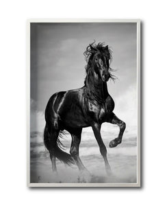 Cuadro Decorativo Caballos 023