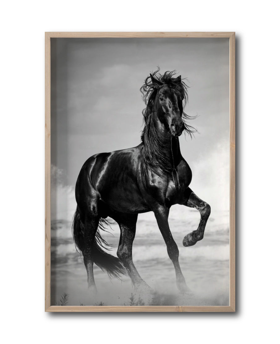 Cuadro Decorativo Caballos 023