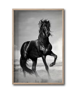 Cargar imagen en el visor de la galería, Cuadro Decorativo Caballos 023
