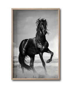Cuadro Decorativo Caballos 023