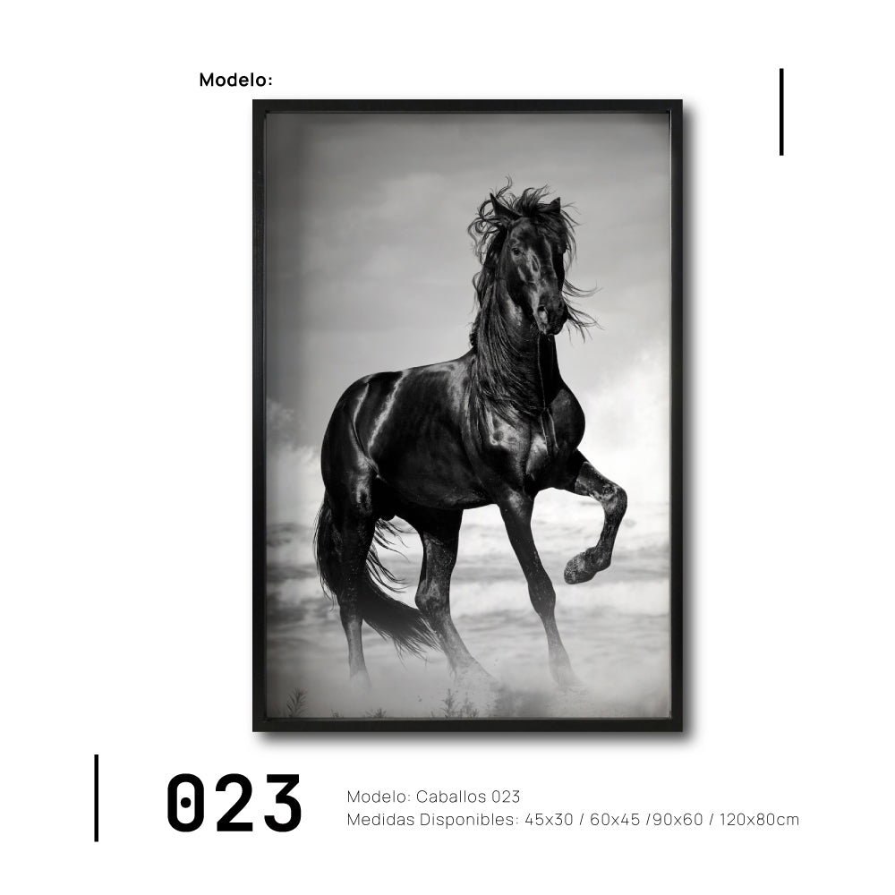 Cuadros Baratos Ambientación de Caballos. Ciudad de México. Galería 314. pura sangre.