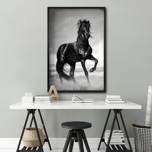 Cuadro Decorativo Caballos 023