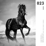 Cargar imagen en el visor de la galería, Cuadro Decorativo Caballos 023
