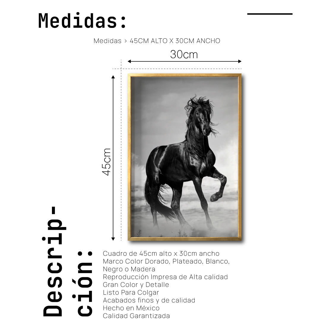 Cuadro Decorativo Caballos 023