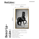 Cargar imagen en el visor de la galería, Cuadro Decorativo Caballos 023
