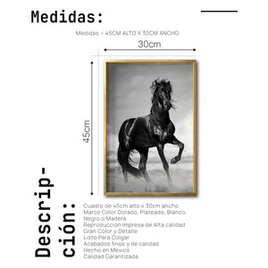 Cuadro Decorativo Caballos 023